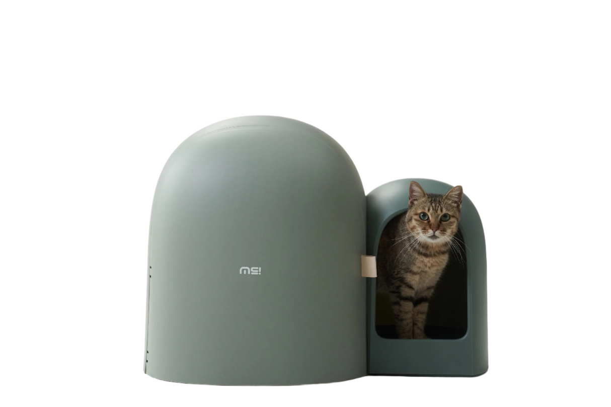 Design Kattenbak met schepje - Lek en geurvrij - Groen