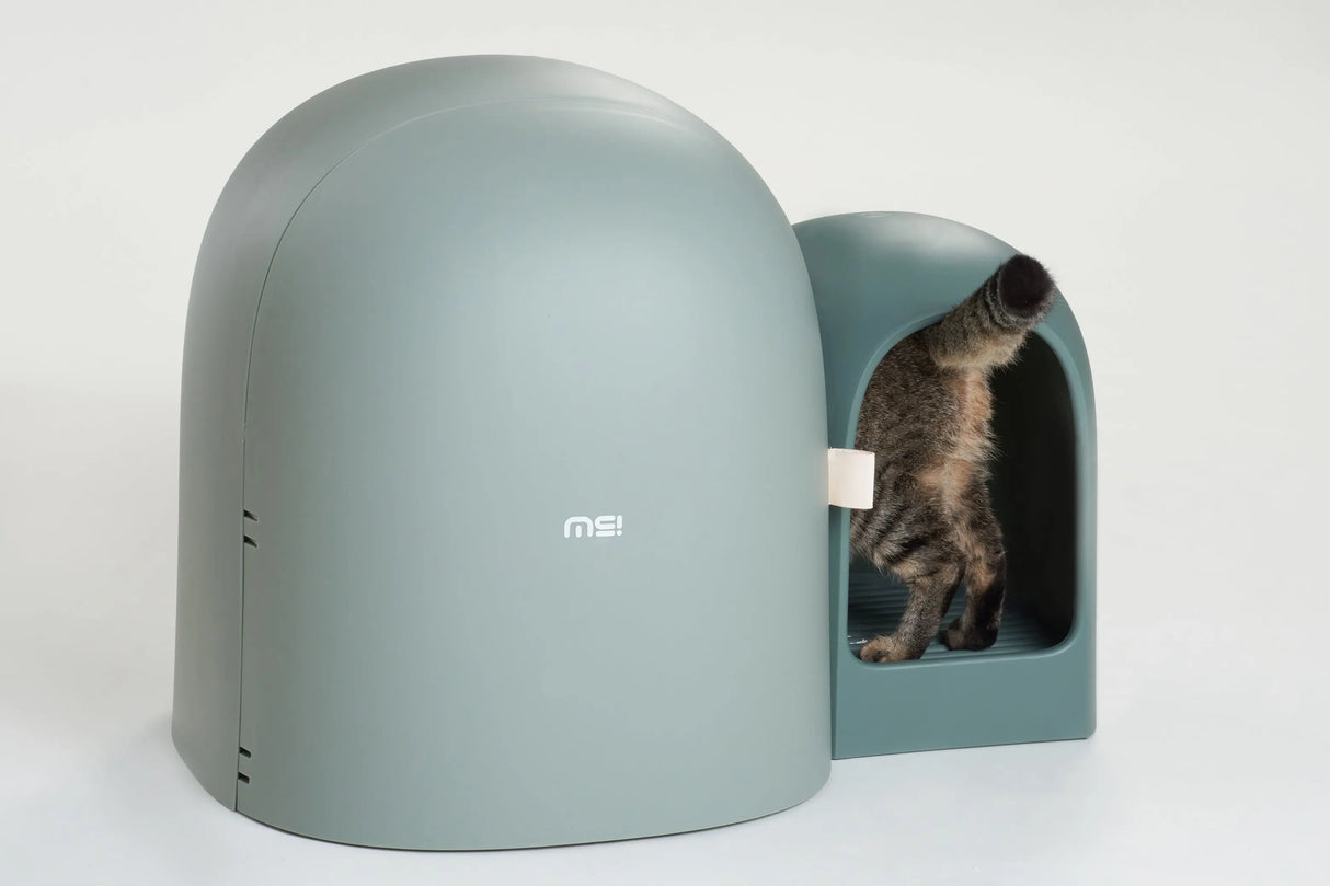 Kattenbak - grote ruimte - inclusief kattebakschepje - lekvrij - geurvrij - one size fits all - SpirePets