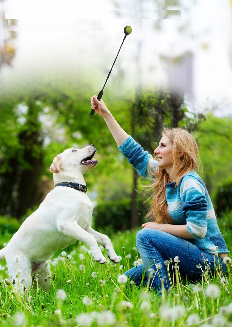 Werpstok voor honden - ballenwerper - hondenspeelgoed