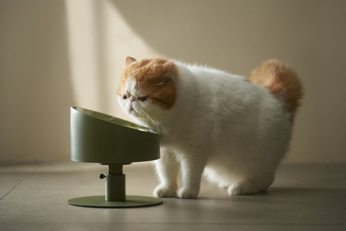 Makesure ergonomisch kattenschaaltje