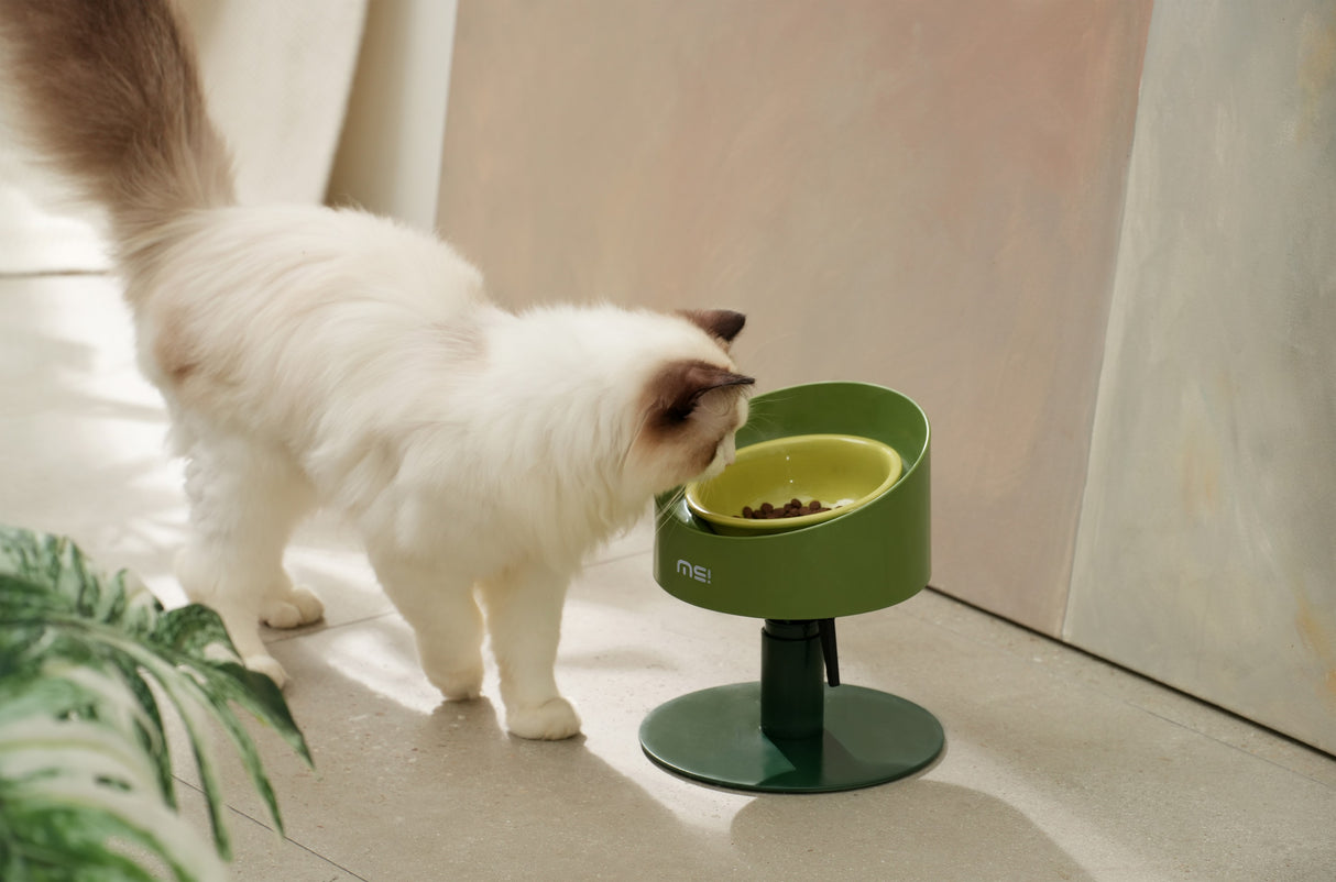 Makesure ergonomisch kattenschaaltje