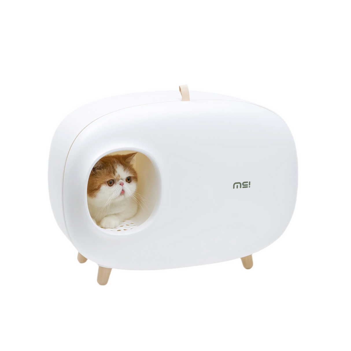 Kattenbak - inclusief schepje - lekvrij en geurvrij