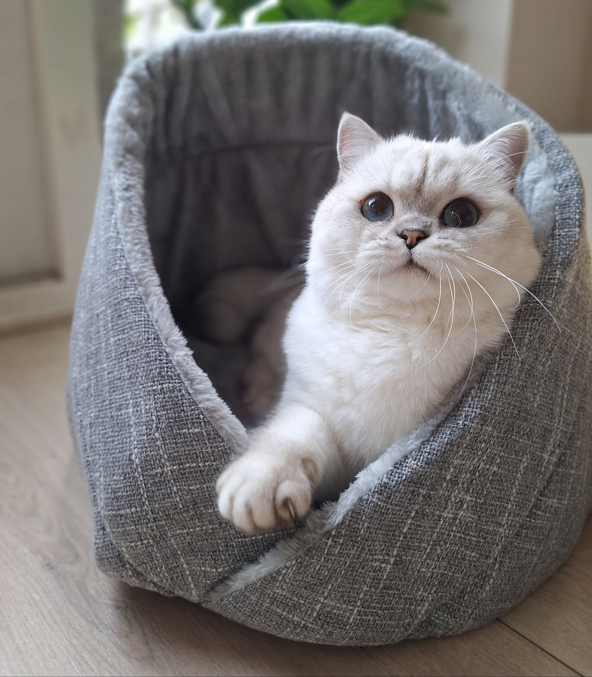 Momo kattenbed - kattenmand - SpirePets