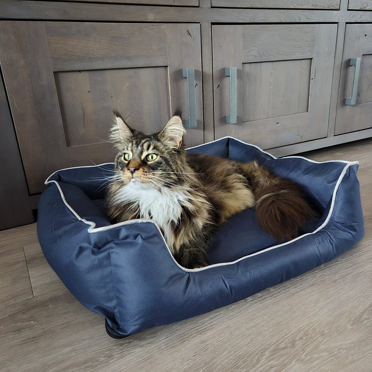 Huisdierenmand Bastiaan voor katten of honden maat S - SpirePets