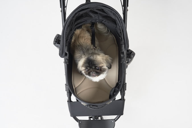 AirBuggy DOME 3 MAT REGULAR – MIDNIGHT BLUE - SpirePets