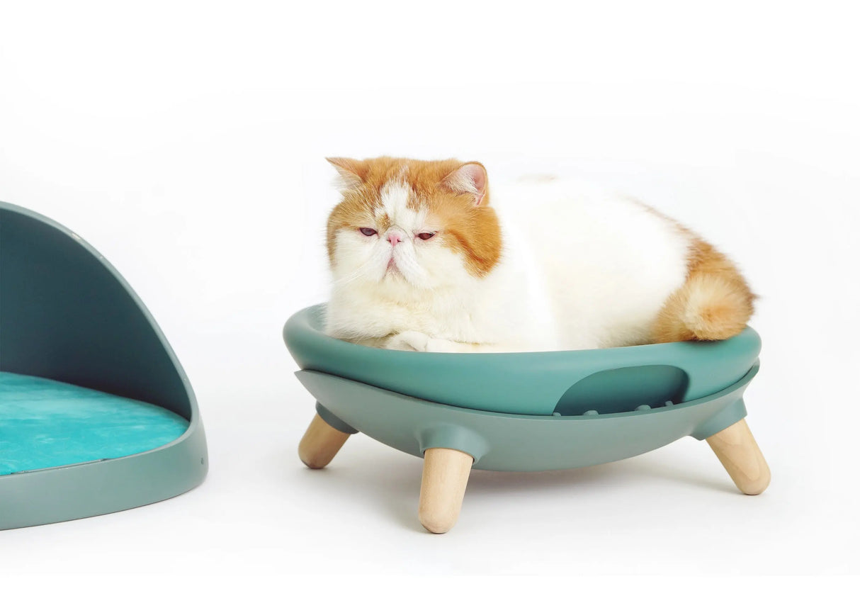 Kattenmand - 4 in 1 ontwerp - schommel - one size fits all - kattenbed - SpirePets