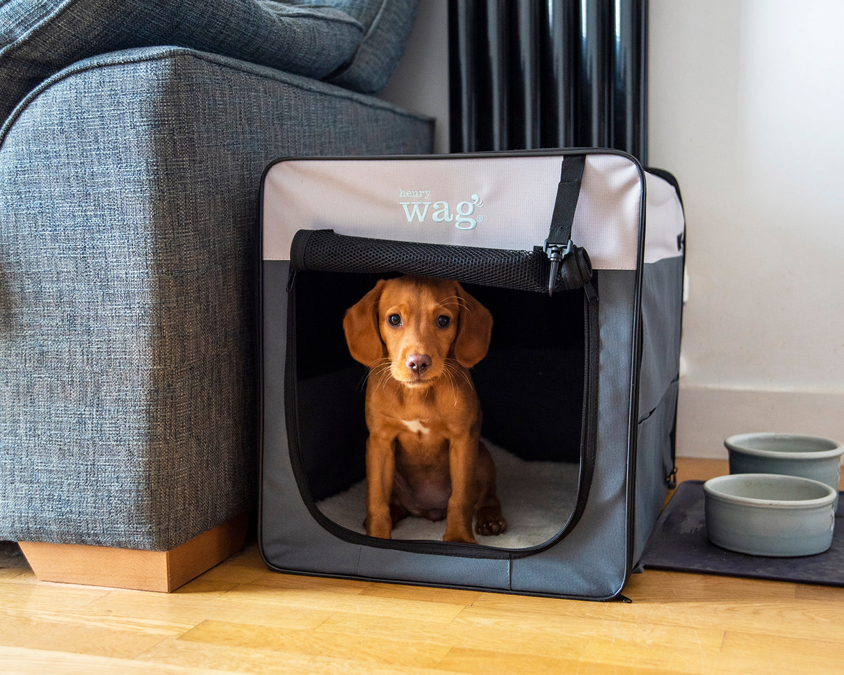 Henry Wag Opvouwbare Bench Hond - Reisbench M - SpirePets