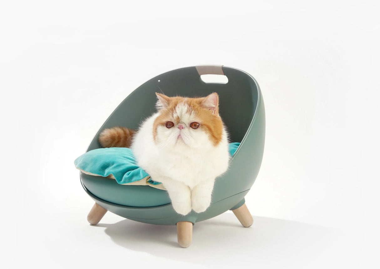 Kattenmand - 4 in 1 ontwerp - schommel - one size fits all - kattenbed - SpirePets