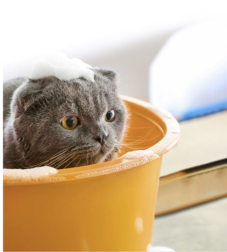 Mousse droogschuim shampoo voor huisdieren