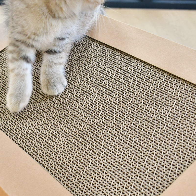 Maison de jeu à gratter pour chat | Maison pour chats et chats | 50x32x40cm