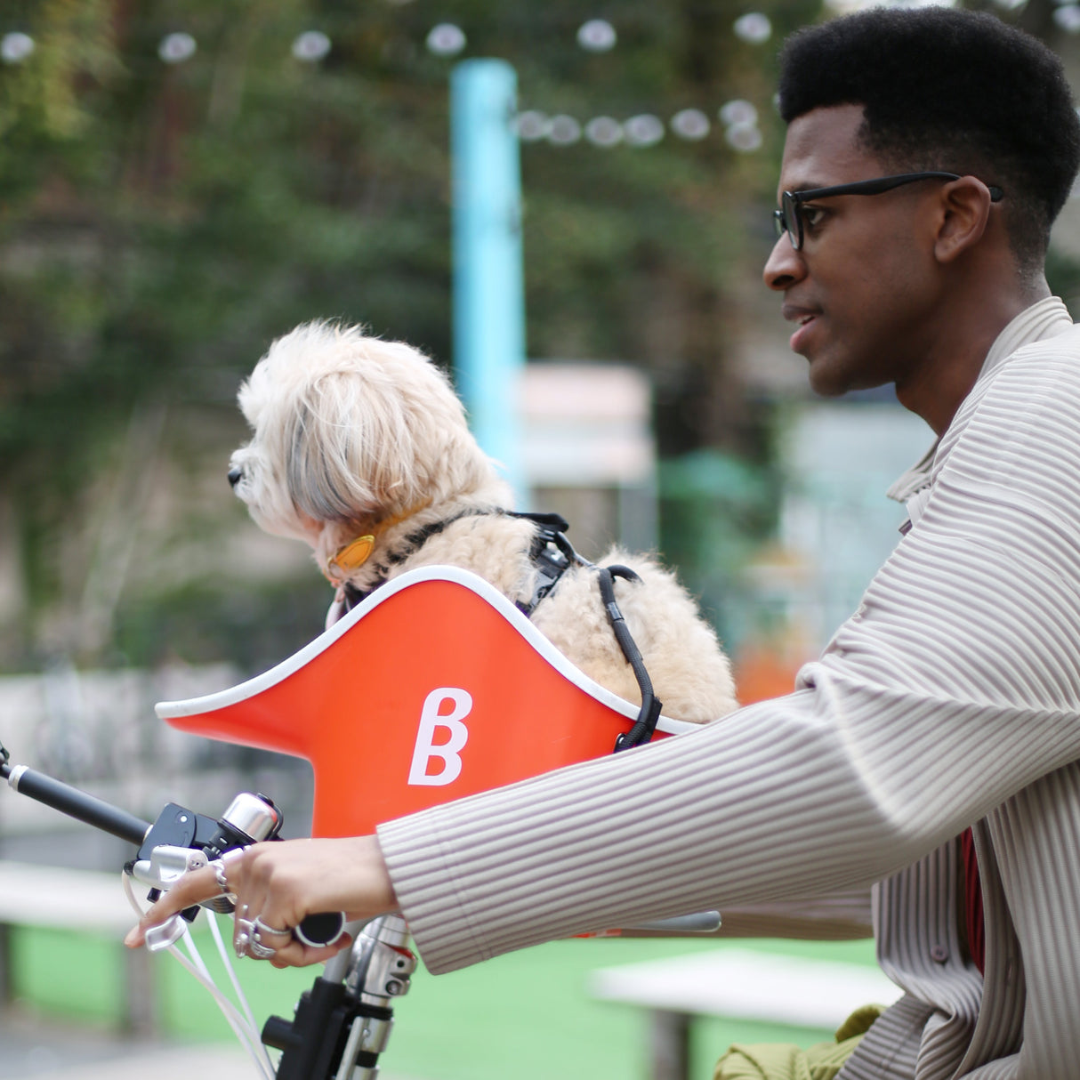 Brook & Breeze Canine Copilot - Fietsstoel voor hond of kat - SpirePets