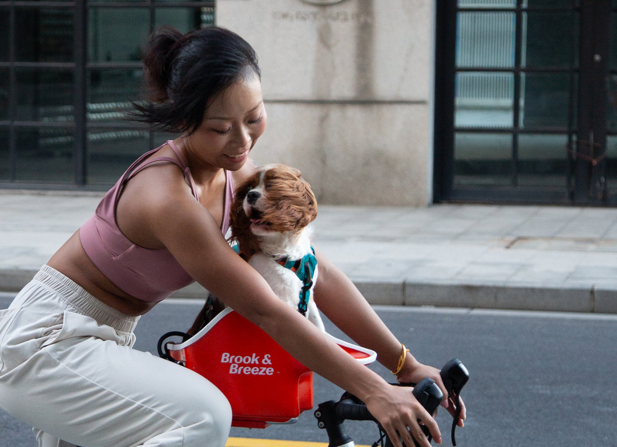 Brook & Breeze Canine Copilot - Fietsstoel voor hond of kat - SpirePets