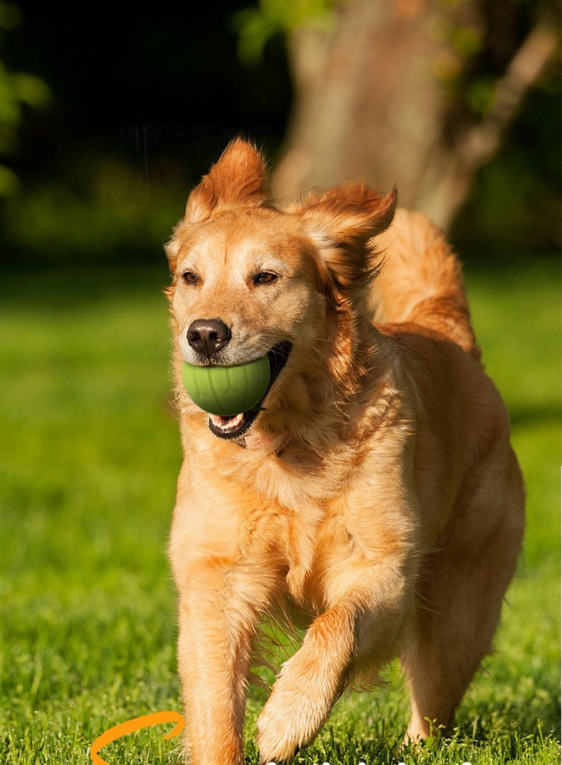 Werpstok voor honden - ballenwerper - hondenspeelgoed