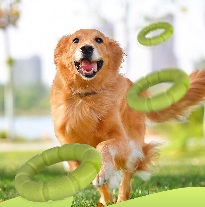 Werpstok voor honden - ballenwerper - hondenspeelgoed
