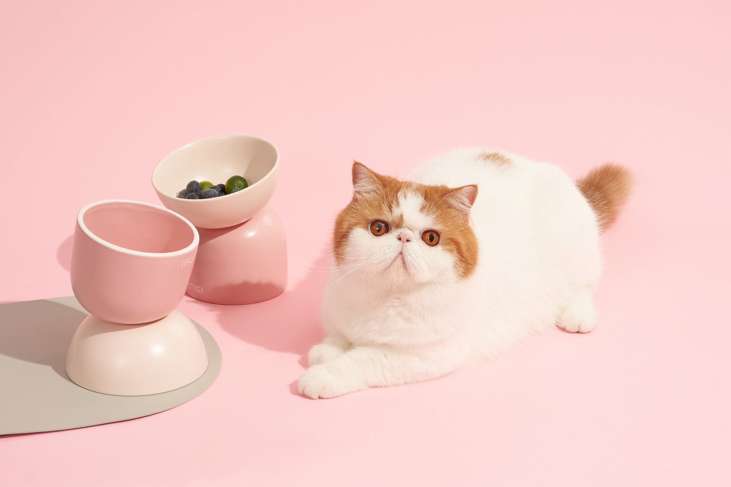 Cat food bowl - ceramic - raised design - olive green