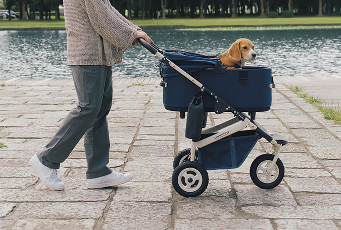 AirBuggy Dome 3 Premier Set Large - Navy Blue