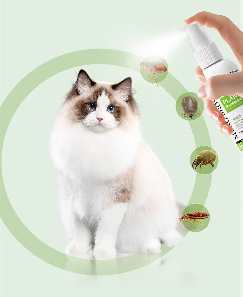 Anti vlooien en teken spray voor hond en kat - 100ml