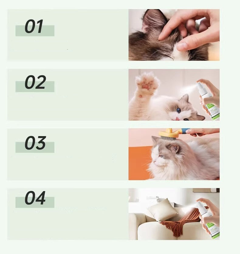 Anti vlooien en teken spray voor hond en kat - 100ml