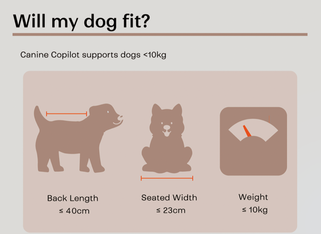 Brooke & Breeze Canine Copilot - Crème Beige