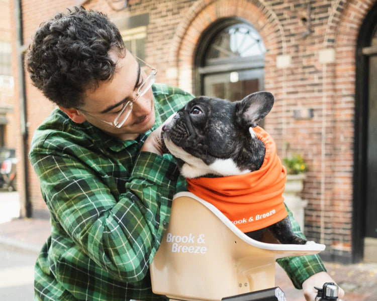 Brooke & Breeze Canine Copilot - Crème Beige