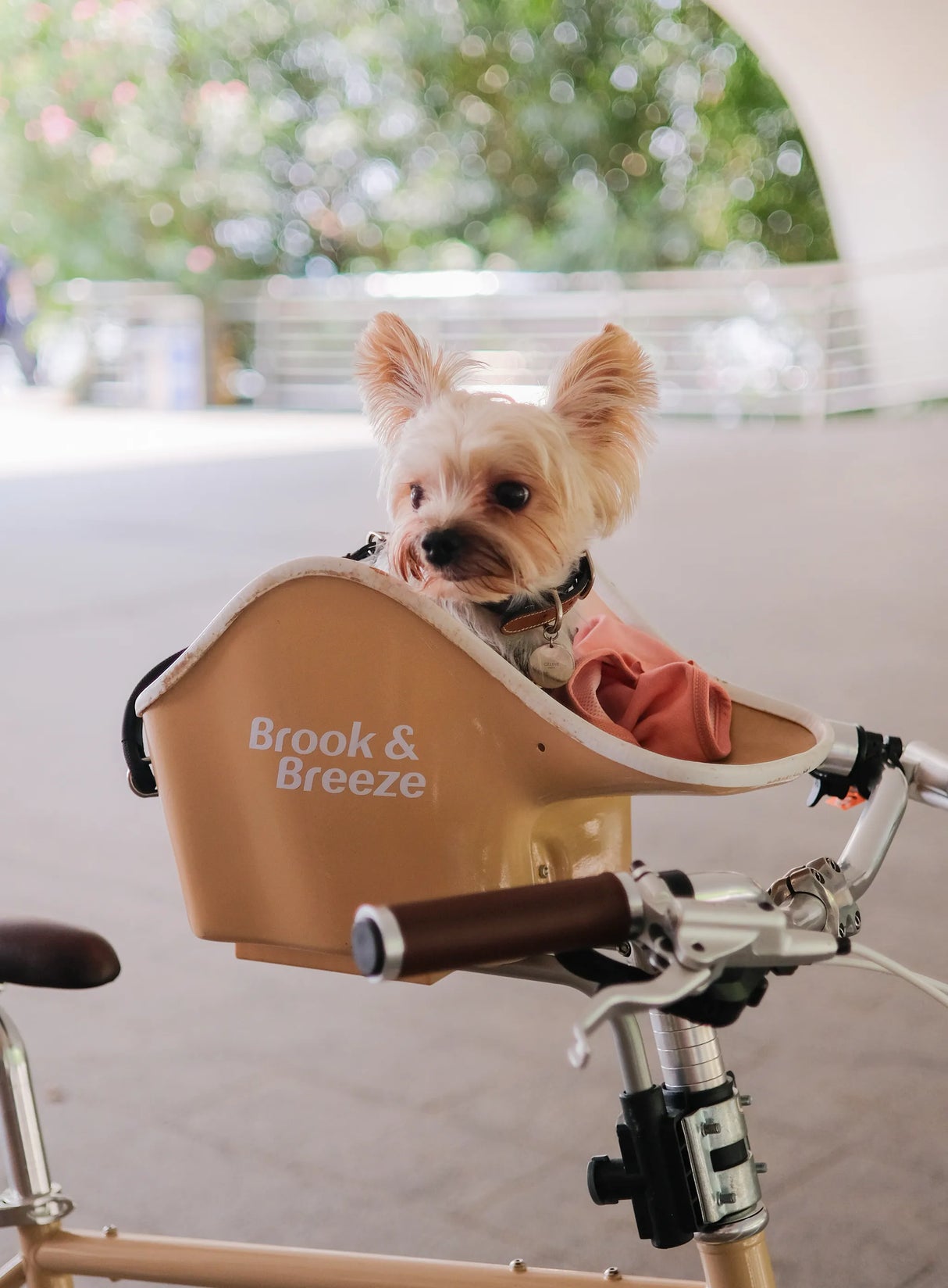 Brooke & Breeze Canine Copilot - Crème Beige