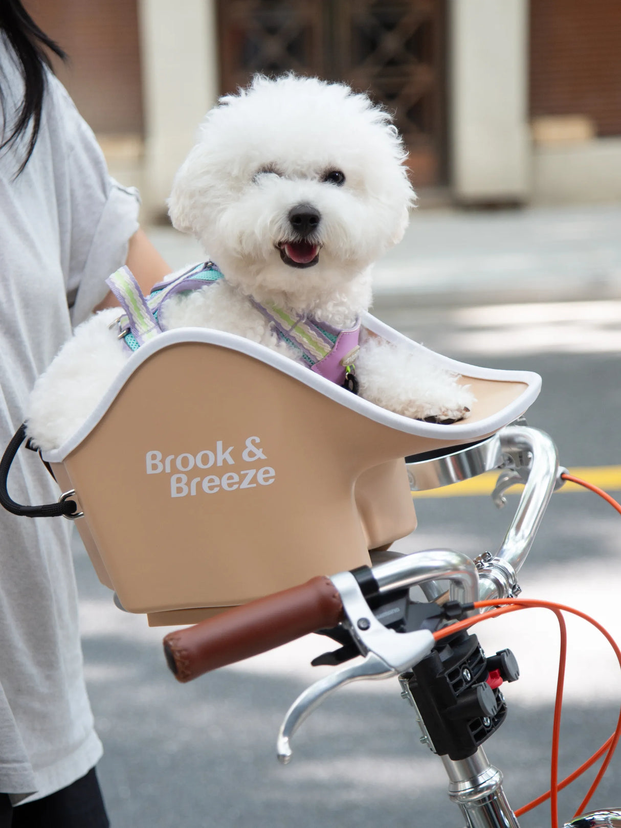 Brooke & Breeze Canine Copilot - Crème Beige