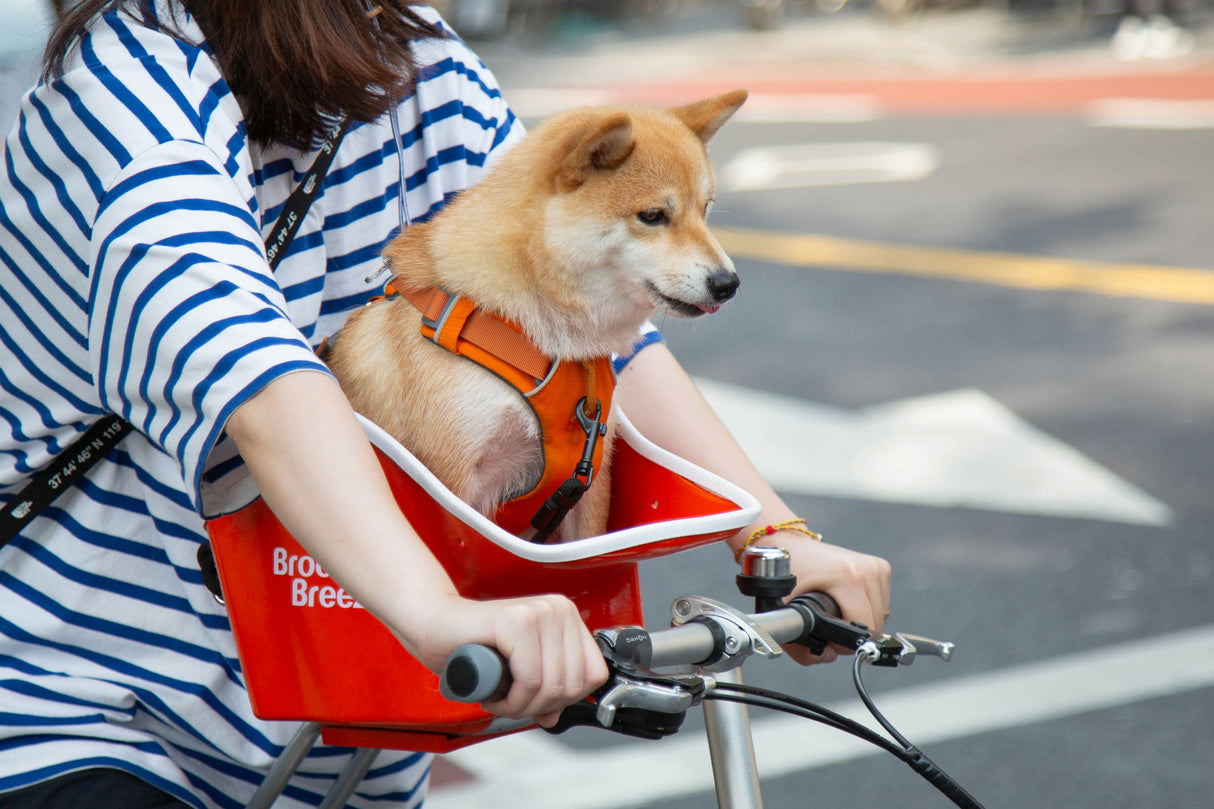 Brooke & Breeze Canine Copilot - Amber Light Orange