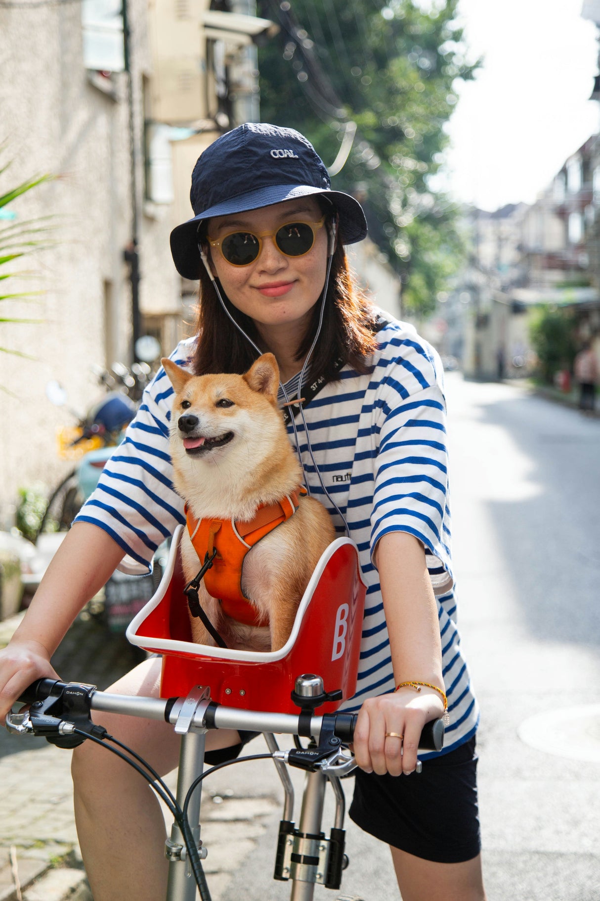 Brook & Breeze Canine Copilot - Fietsstoel voor hond of kat - SpirePets