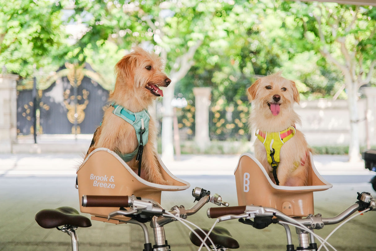 Brooke & Breeze Canine Copilot - Amber Light Orange