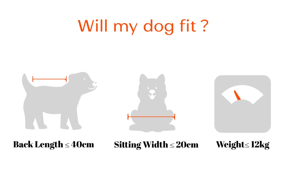 Brook & Breeze Canine Copilot - Fietsstoel voor hond of kat - SpirePets