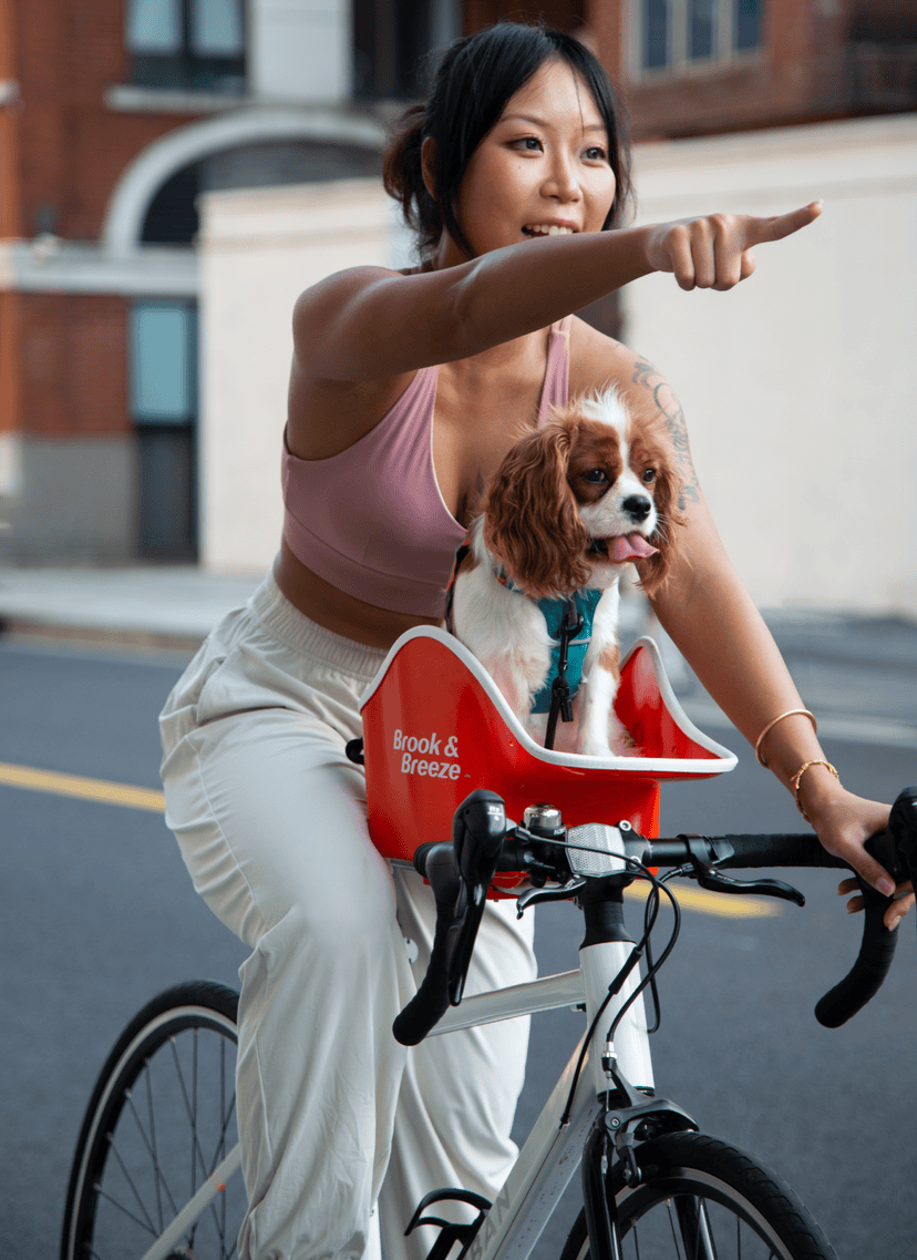 Brook & Breeze Canine Copilot - Fietsstoel voor hond of kat - SpirePets