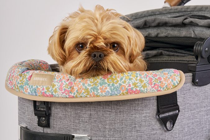 AirBuggy DOME 3 Corner Cushion – Mocha