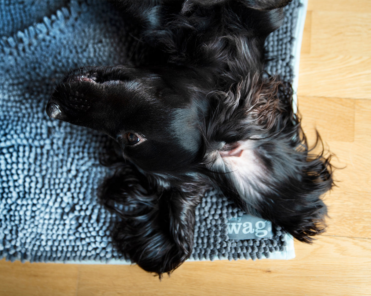 Henry Wag Microvezel Noodle Huisdier Mat - L droogmat hond