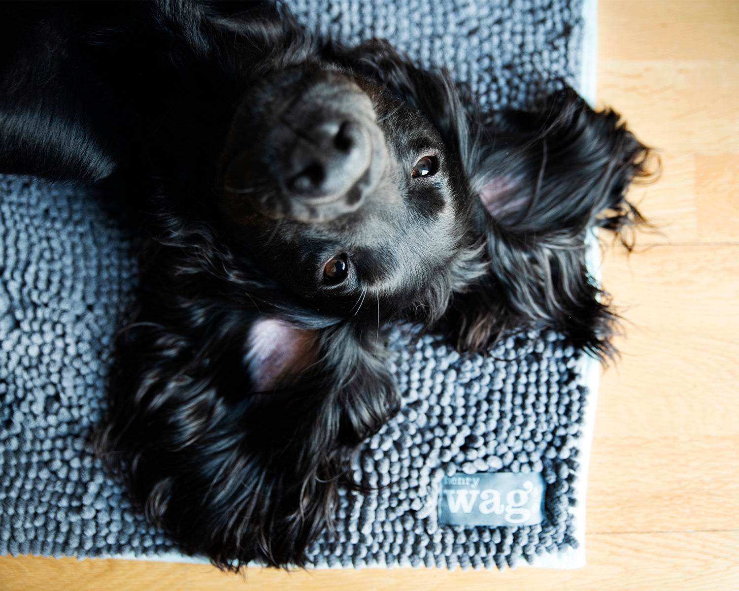 Henry Wag Microvezel Noodle Huisdier Mat - L droogmat hond