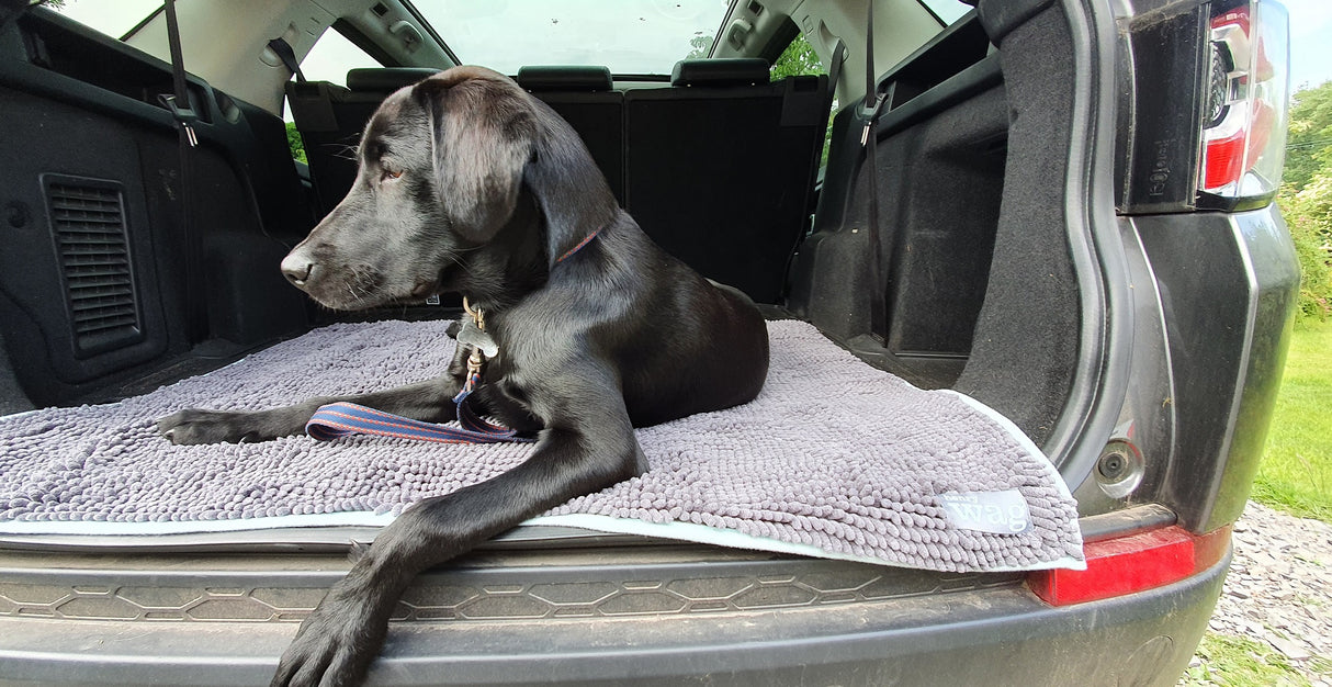 Henry Wag Microvezel Noodle Huisdier Mat - XL droogmat hond