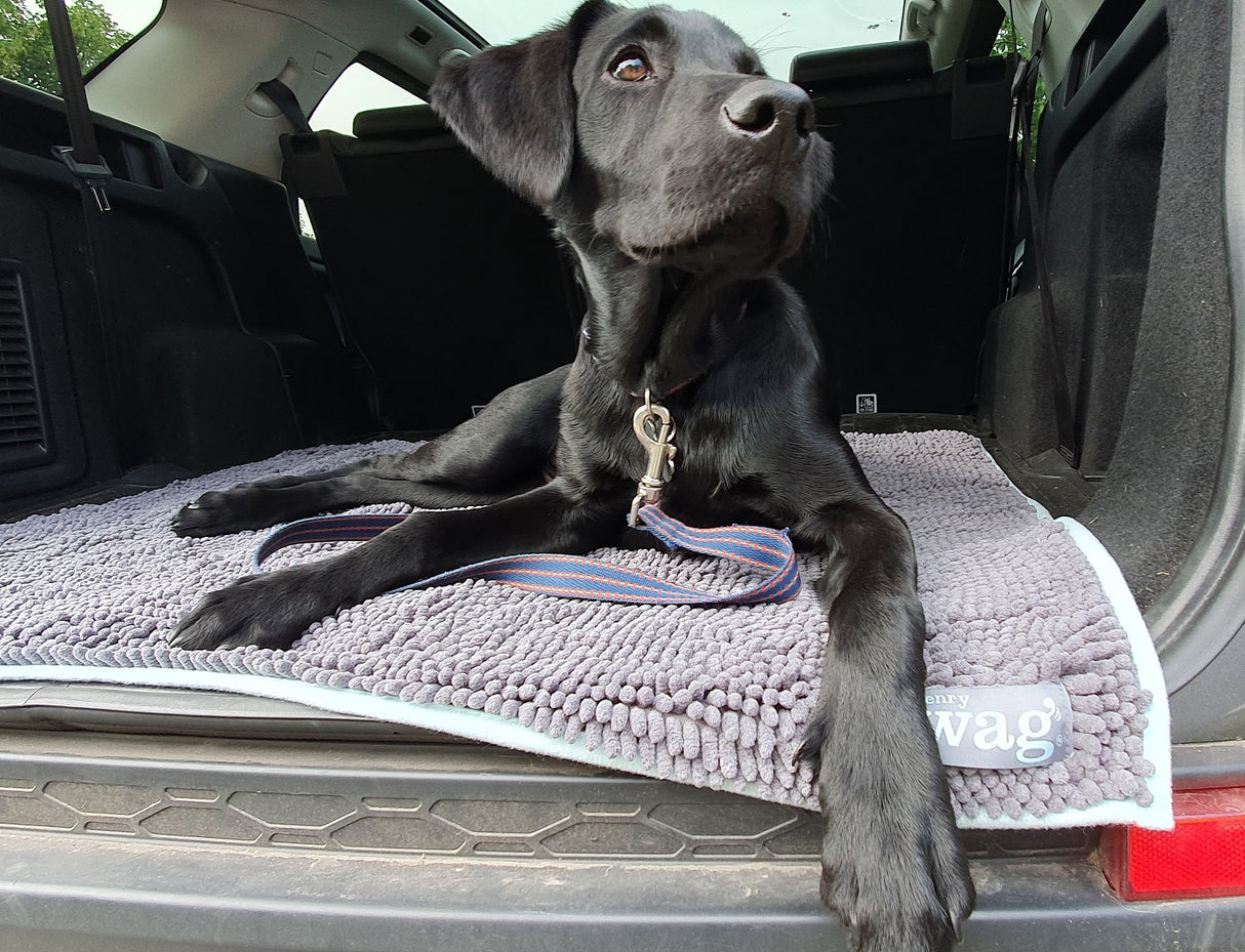 Henry Wag Microvezel Noodle Huisdier Mat - XL droogmat hond