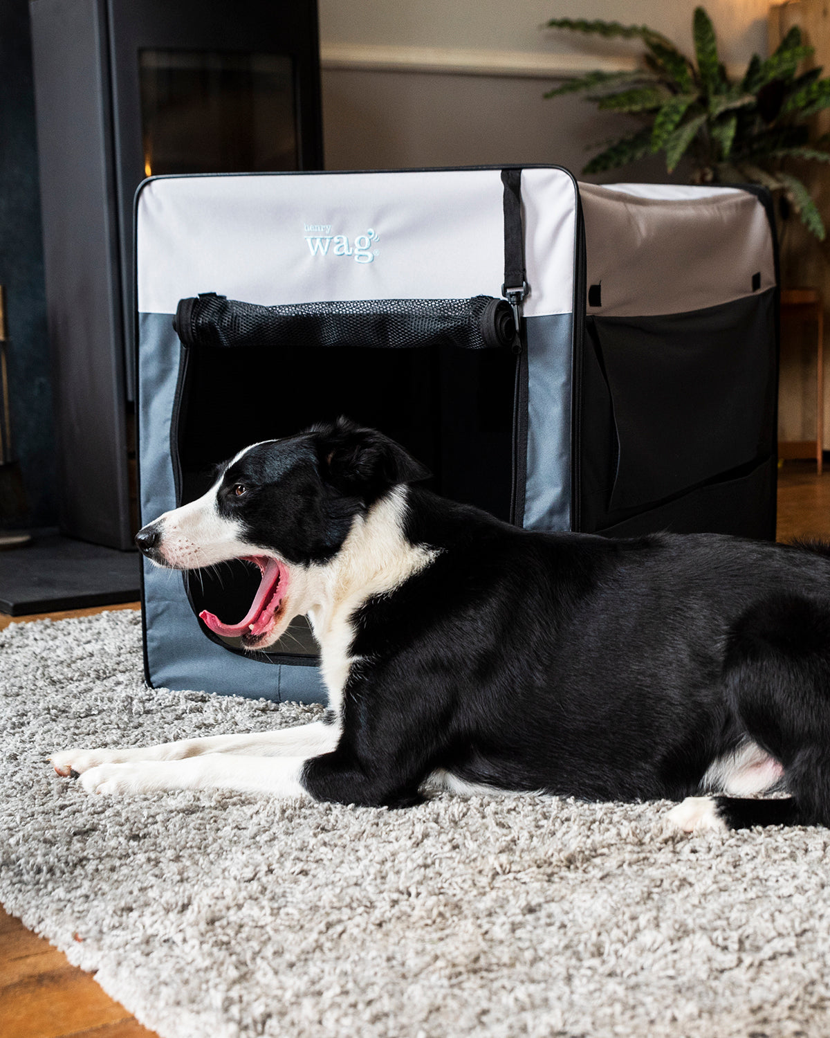 Henry Wag Opvouwbare Bench Hond - Reisbench L