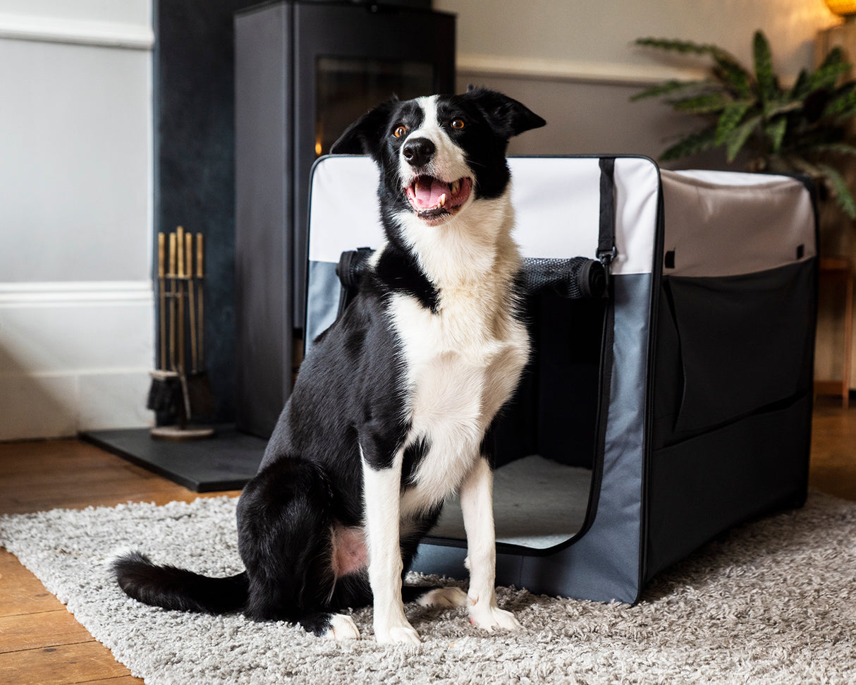 Henry Wag Opvouwbare Bench Hond - Reisbench XL