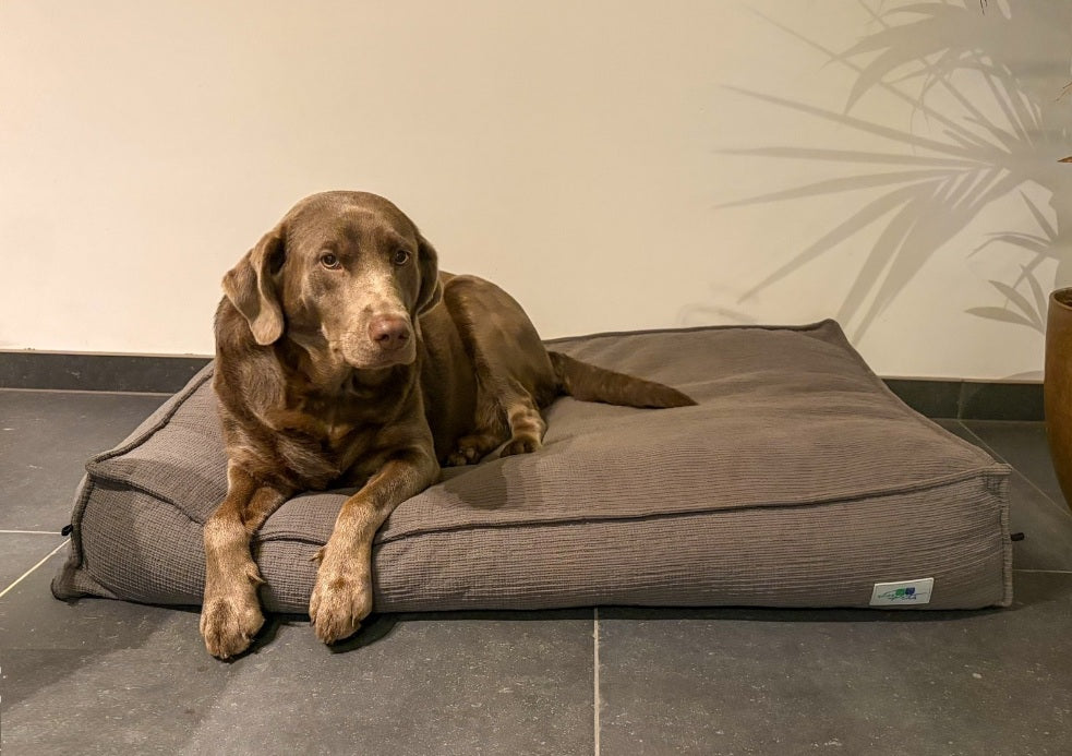 Hondenkussen Joey - Ribcord met deken - maat M