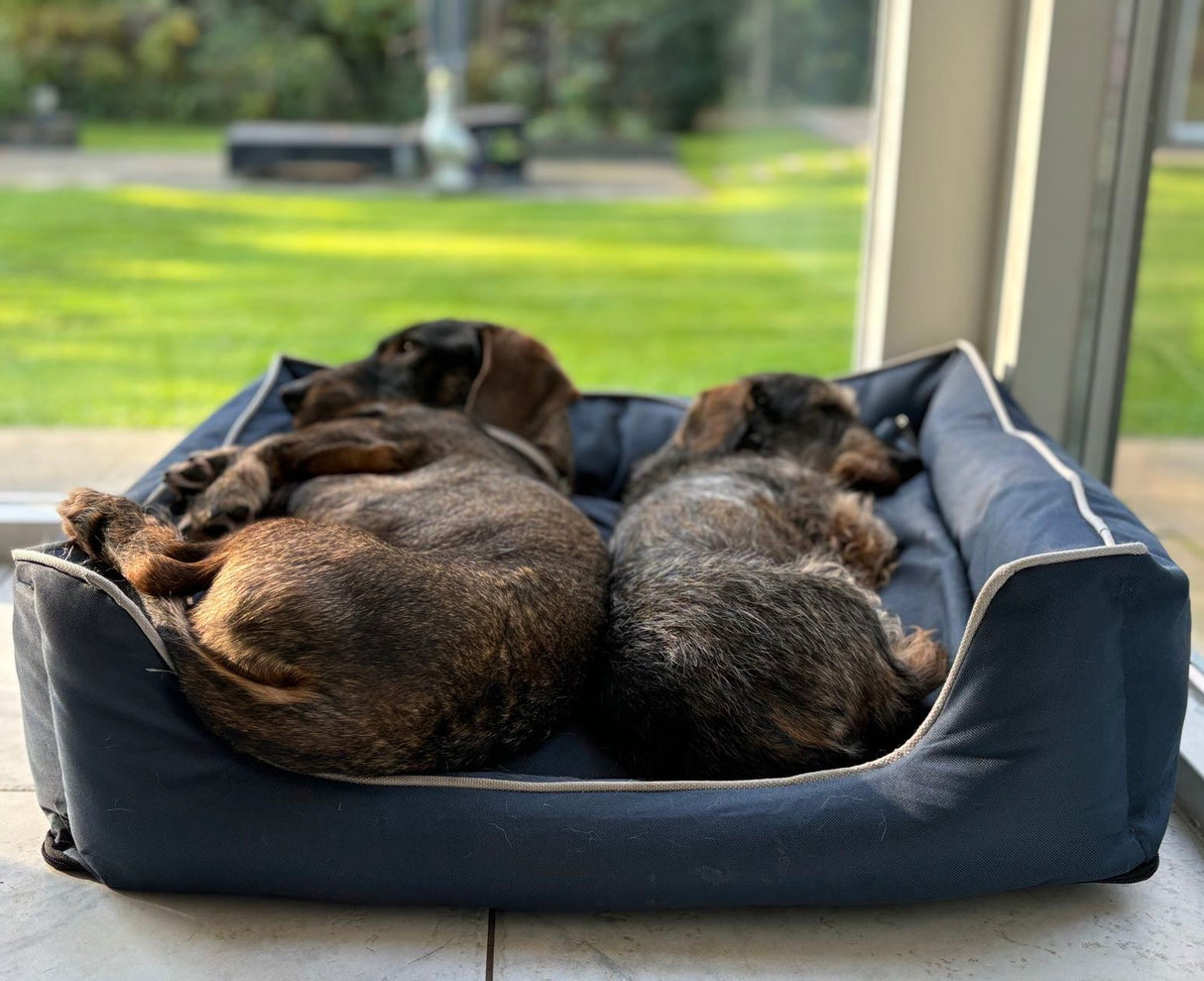 Water-resistant pet bed - Bastiaan dog basket - size S