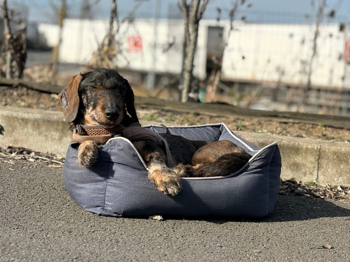 Bora pet bed - inner cushion - non-slip bottom - water-repellent - size S