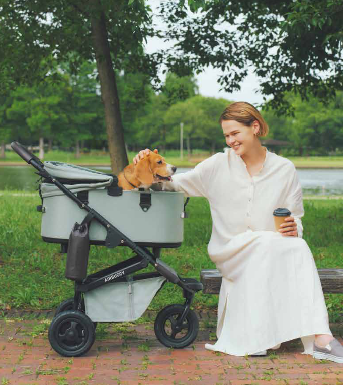 AirBuggy DOME 3 Large – Cacao - SpirePets