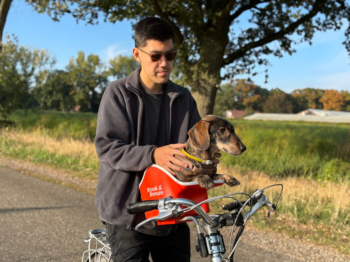 Brooke & Breeze Canine Copilot - Amber Light Orange