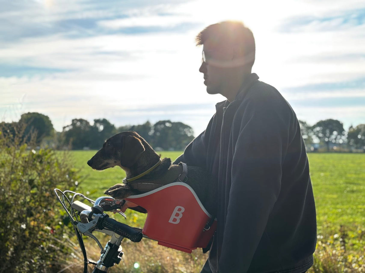 Brook & Breeze Canine Copilot - Fietsstoel voor hond of kat - SpirePets