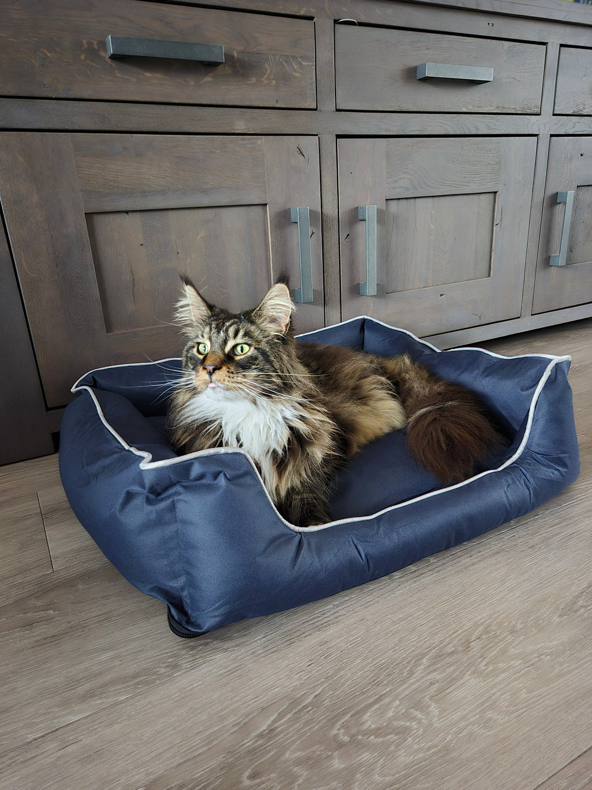 Huisdierenmand Bastiaan voor katten of honden maat L