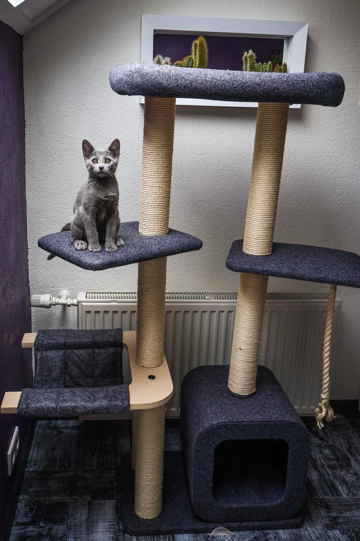 Katten krabpaal Candy - klimboom - grijs