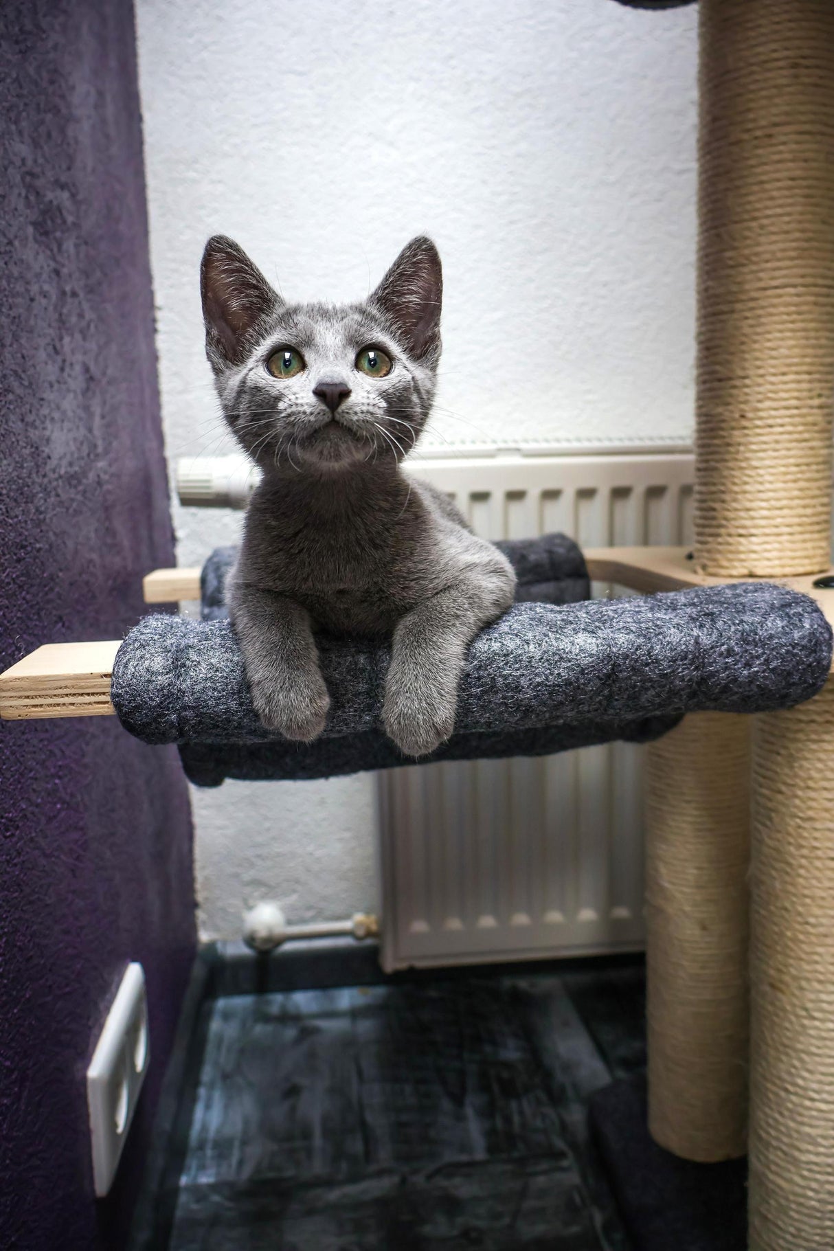 Cat scratching post - climbing tree - grey - 4 levels