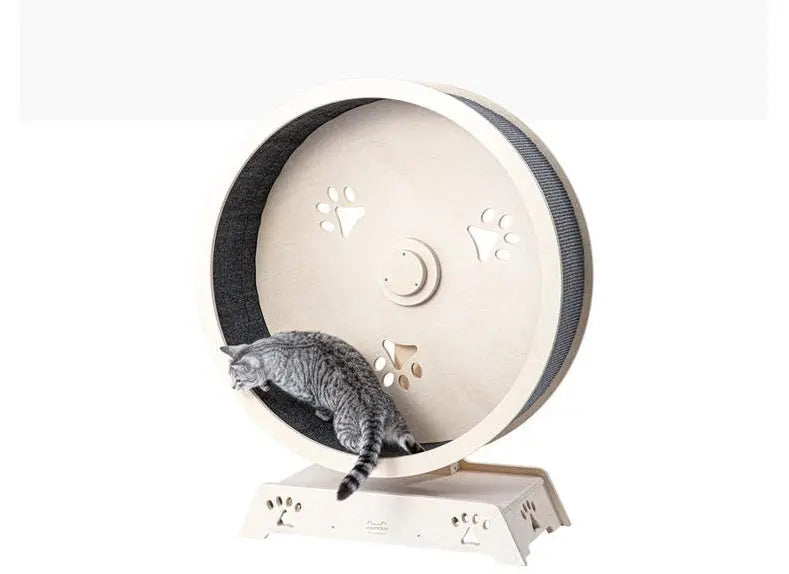 Katten loopwiel - looprad voor katten