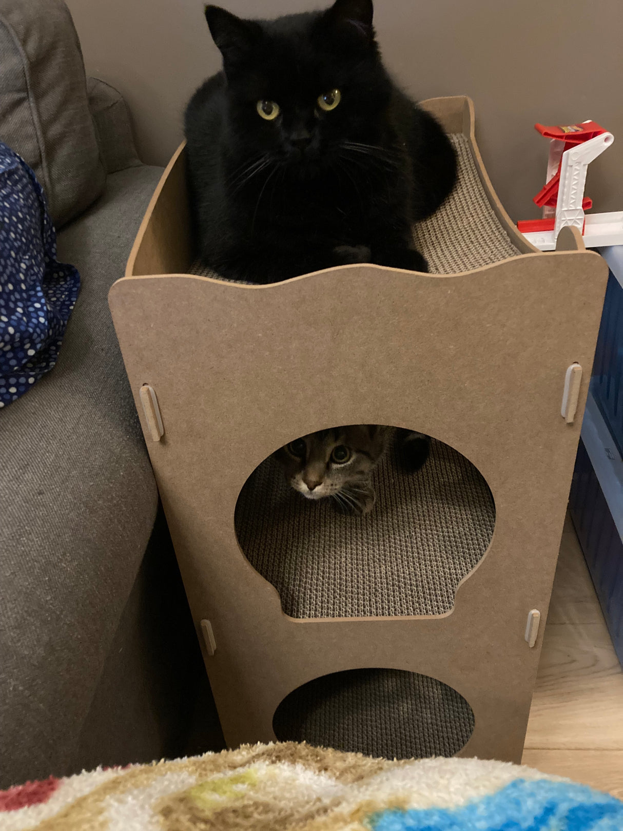 Kattenhuis - duurzaam speelhuis voor katten