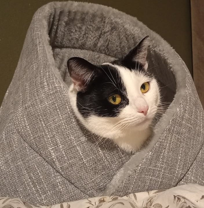 Momo kattenbed - kattenmand